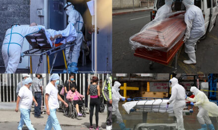 Salud reporta 12 muertos por Covid-19 y 798 contagiados más