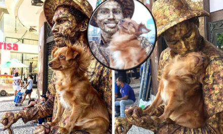 VIDEO: Perrita ayuda a su papá, un artista callejero en su rutina diaria