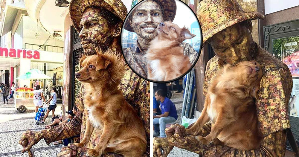 VIDEO: Perrita ayuda a su papá, un artista callejero en su rutina diaria