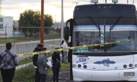 Pasajeros matan a golpes a asaltante en un transporte público