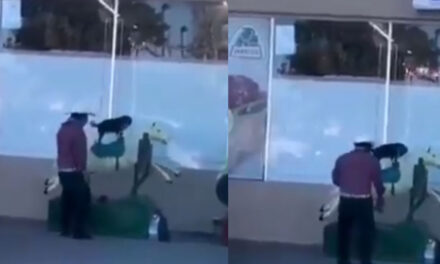 VIDEO: “Ella es el amor de mi vida”: La historia del hombre que sube a su perrita a un juego mecánico