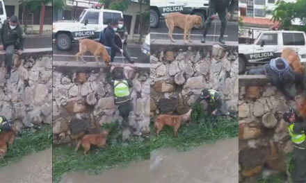 VÍDEO: Momento en que dos Policías rescatan un perro que está atrapado 