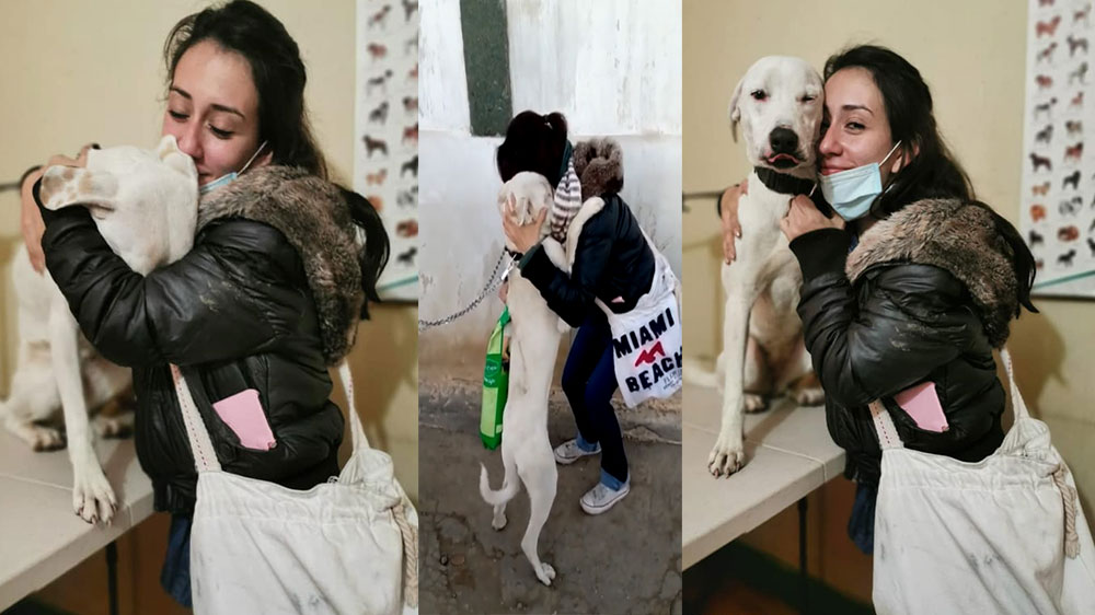 VIDEO: Localizan a la perrita que escapó en Navidad