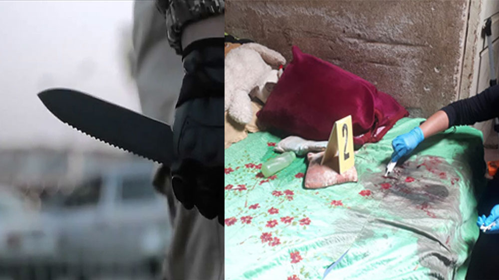 Pretendía arrancarle el corazón con arma blanca a su hijastra de 25 años