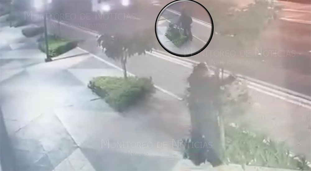 Varios árboles fueron dañados por un sujeto en la zona 4 capitalina (Video)