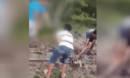 VIDEO | Niños torturan y matan a un oso hormiguero; causa indignación