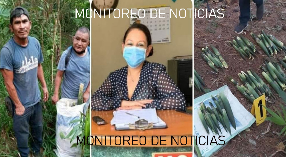 Gracias a la decisión que tomó la Jueza los detenidos tuvieron que pagar Q1 mil 500 de talacha