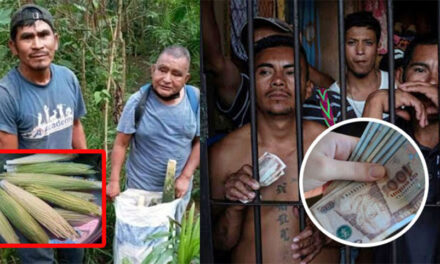 El dinero que dieron los hombres que robaron pacayas era para que no los “Mataran” los prisioneros (Video)