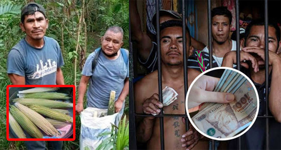 El dinero que dieron los hombres que robaron pacayas era para que no los “Mataran” los prisioneros (Video)
