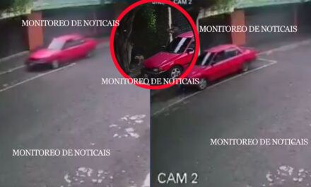 Un hombre que pasea con su perro es víctima de asalto en un sector de la zona 10 (Video)