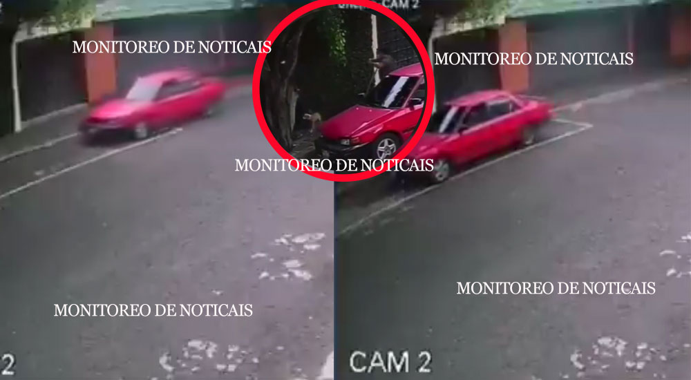 Un hombre que pasea con su perro es víctima de asalto en un sector de la zona 10 (Video)