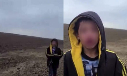 Niño pide ayuda a la Policía Fronteriza porque el guía lo dejó perdido y su madre desapareció (Video)