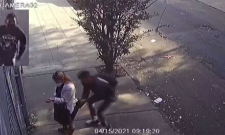 Joven levanta la falda de una mujer aprovechando que estaba distraída (Video)