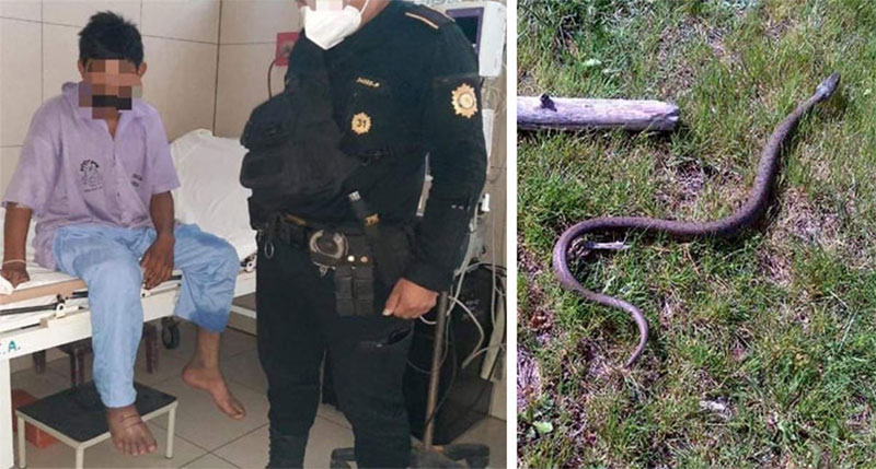 Hombre abusó de una mujer, fue mordido por una serpiente y pidió ayuda