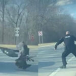 Fuerte pelea entre un Agente de Policía y dos pavos (Video)