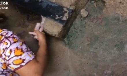 Encuentran un bebe en un pozo y esta vivo (Video)
