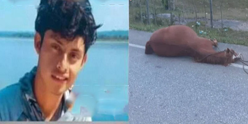 PETÉN: Motorista pierde la vida al impactar con un caballo
