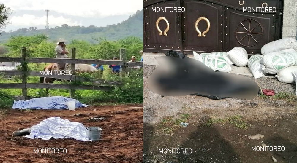 CHIQUIMULA: Ataque armado dentro de una finca deja 6 personas fallecidas