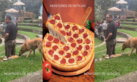 Perro es captado robando una pizza en un parque de diversiones (Video)