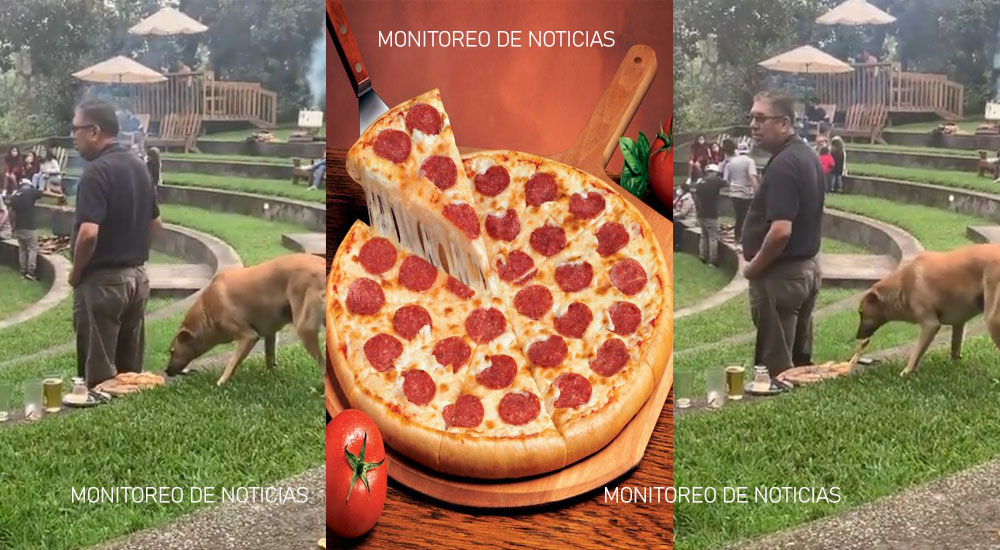 Perro es captado robando una pizza en un parque de diversiones (Video)