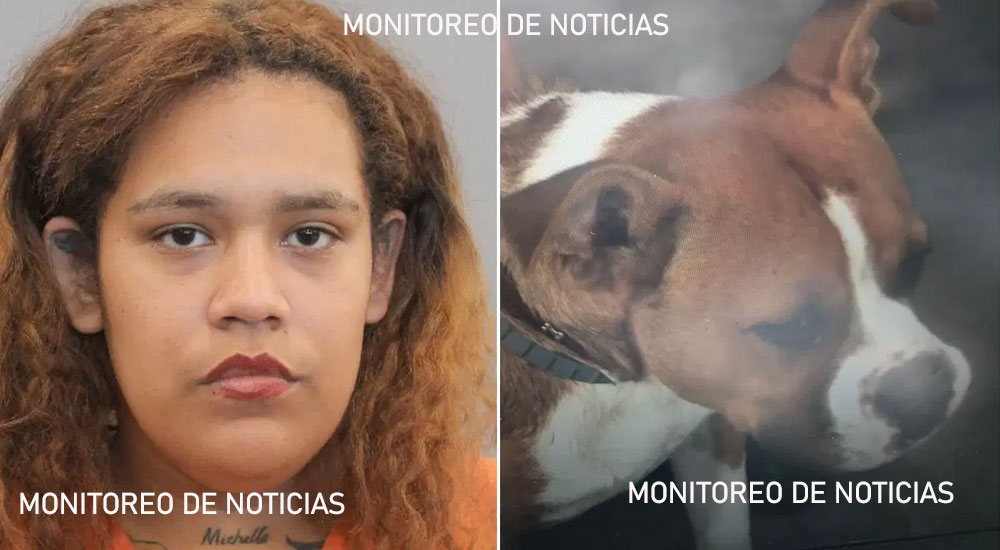 Mujer intenta dispararle a un perro pero la bala le cayó su hijo de 5 años (Video)