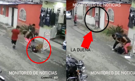 MIXCO: Momento exacto en que un perro ataca a un niño y la dueña solo observa (Video)