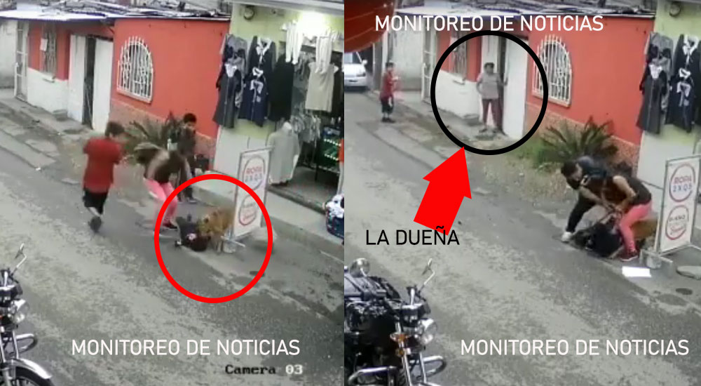 MIXCO: Momento exacto en que un perro ataca a un niño y la dueña solo observa (Video)
