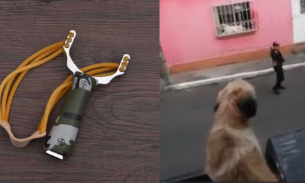 Agente de la PNC le pega a un perrito con una honda de hule (Video)