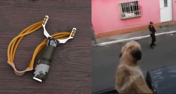 Agente de la PNC le pega a un perrito con una honda de hule (Video)