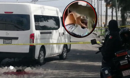 Pasajeros desnudan y vapulean a ladrón armado