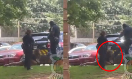 Policía patea en la cara a una mujer esposada y el video se hizo viral (Video)