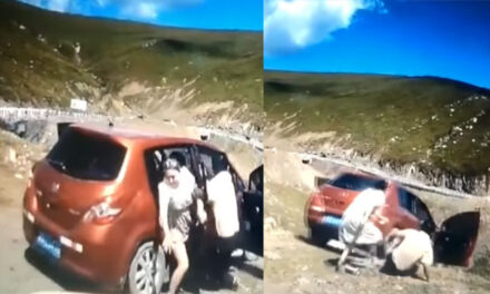 Momento exacto en el que familia intenta huir de auto que cae a barranco (Video)