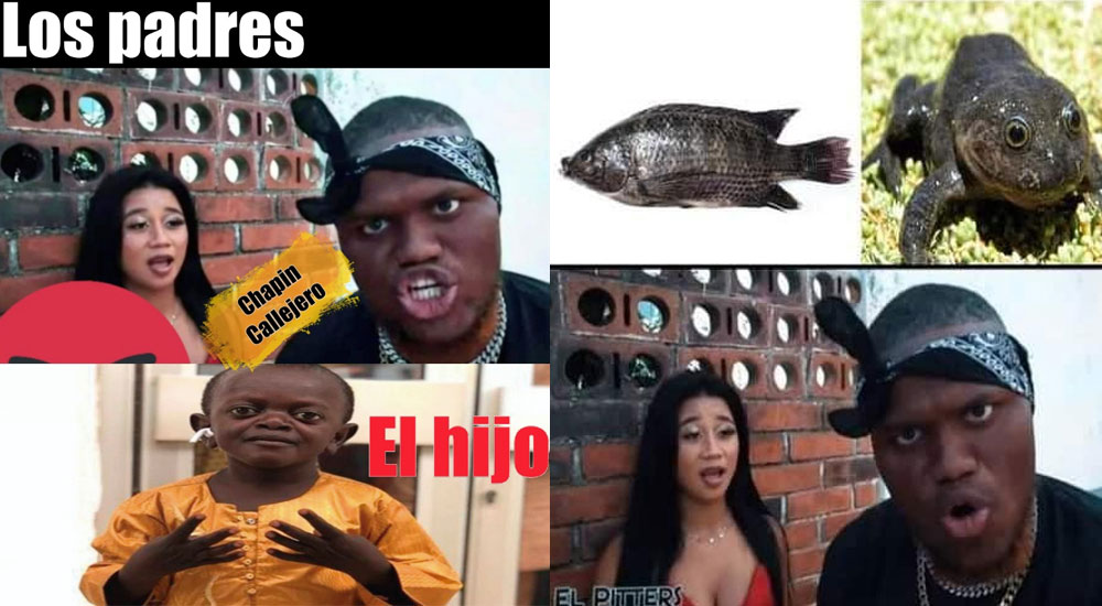 Le hacen memes a Esme La Chapina tras salir en la canción de Pitters