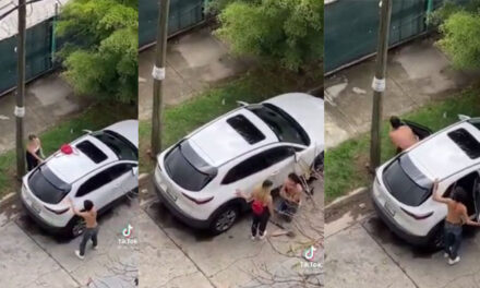 Mujer descubre que su novio le era infiel y todo se sale de control (Video)