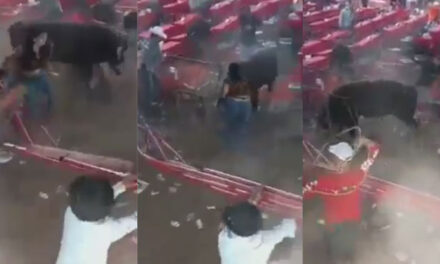 Toro embiste a más de 10 personas y quedan gravemente heridas (Video)