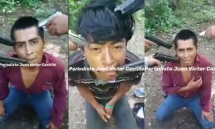 «Cartel Del Noroeste» Secuestra a migrantes guatemaltecos y piden rescate (Video)