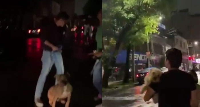 Fuertes llantos se escuchan en sismo ocurrido en México (Video)