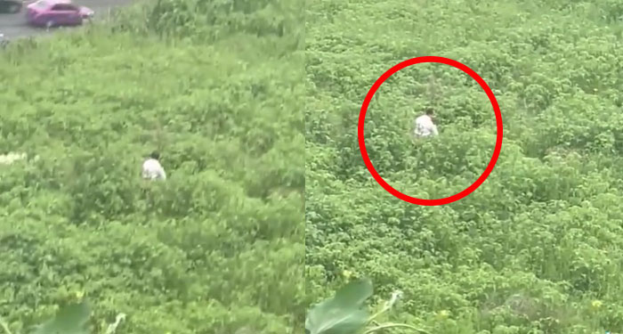 Graban a pareja teniendo relaciones en un bosque (Video)