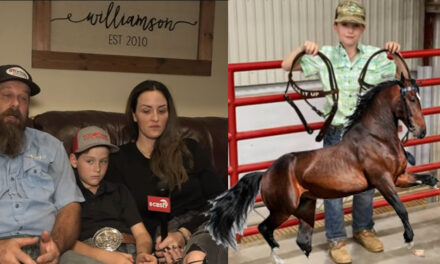Niño de 10 años muere “aplastado” por un caballo en un rodeo