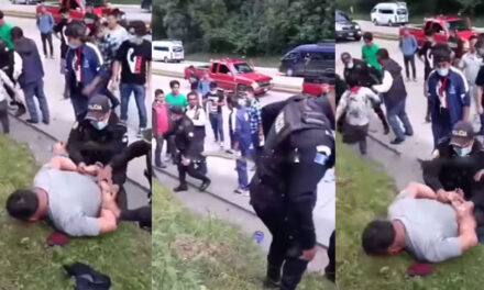 Ladrones son vapuleados en la Ruta Interamericana (Video)