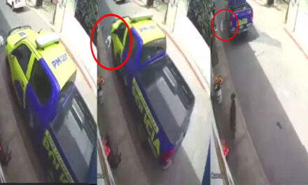 Momento exacto cuando vehículo de PMT atropella a un perro (Video)