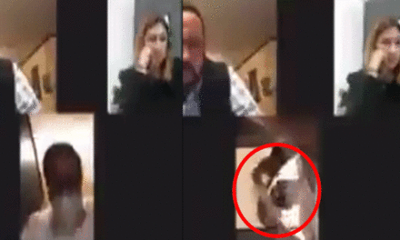 Diputado olvidó apagar la cámara de su computadora y se va al baño en medio de una reunión (Video)