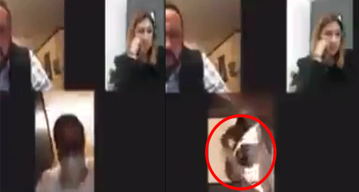 Diputado olvidó apagar la cámara de su computadora y se va al baño en medio de una reunión (Video)