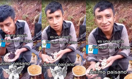 Guatemalteco que come frijoles con tortilla en el campo se hace viral (Video)