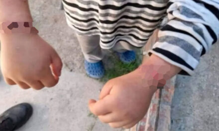 Mujer mantenía amarrado a su hijo, excusándose que el menor se “Portaba Mal”