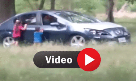 Pareja saca a sus hijos del auto para mantener relaciones en la vía pública (Video)