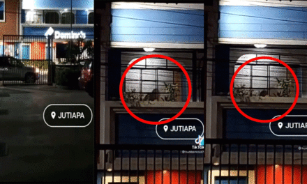 Trabajadores de Domino ‘s son captados manteniendo relaciones dentro del local (Video)