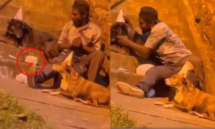 Hombre de la calle es captado celebrando el cumpleaños de varios perritos (Video)