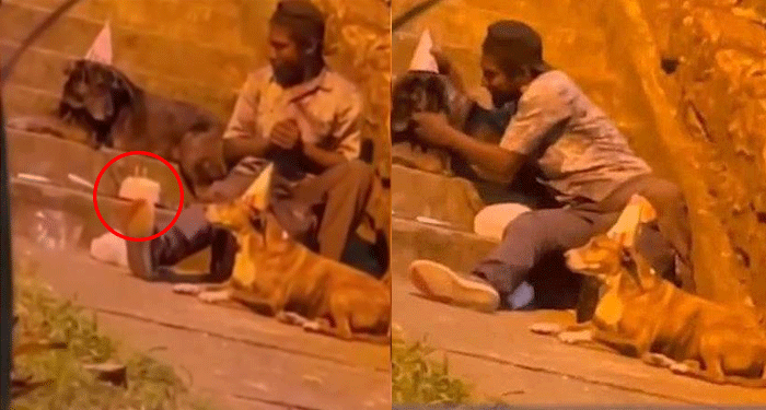 Hombre de la calle es captado celebrando el cumpleaños de varios perritos (Video)