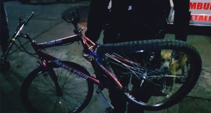 Ciclista pierde la vida tras ser fuertemente atropellado por Bomberos en Retalhuleu